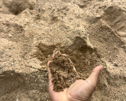 Coarse Sand (Mota Balu)