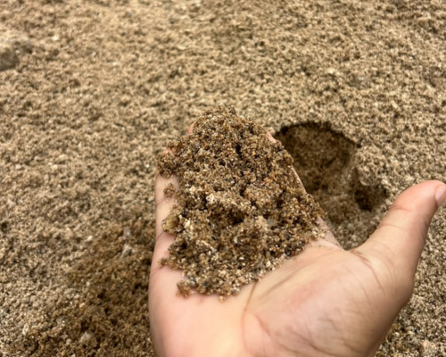 Medium Sand